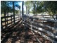 419 Surcingle Road, Chinchilla QLD 4413
