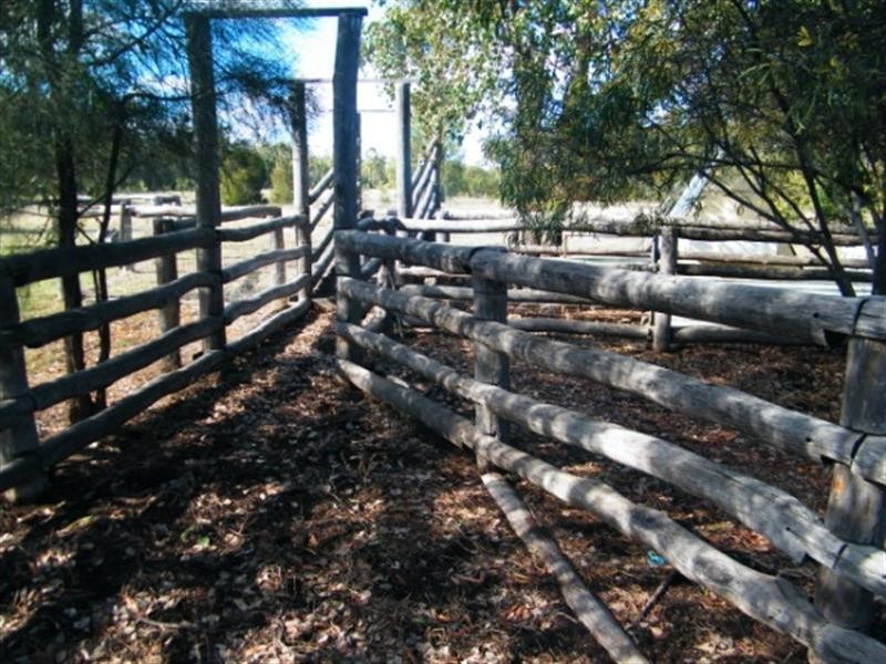 419 Surcingle Road, Chinchilla QLD 4413