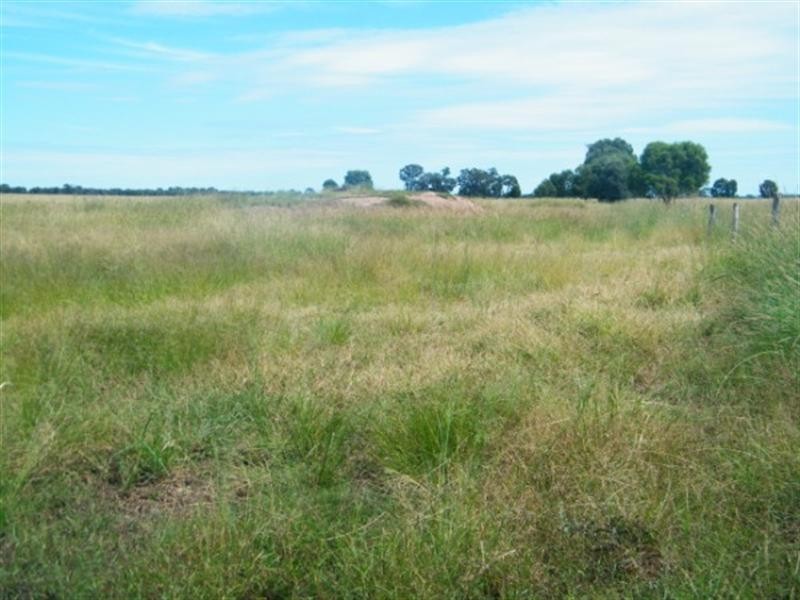 3139 Chinchilla Wondai Road, Chinchilla QLD 4413