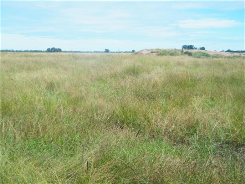 3139 Chinchilla Wondai Road, Chinchilla QLD 4413