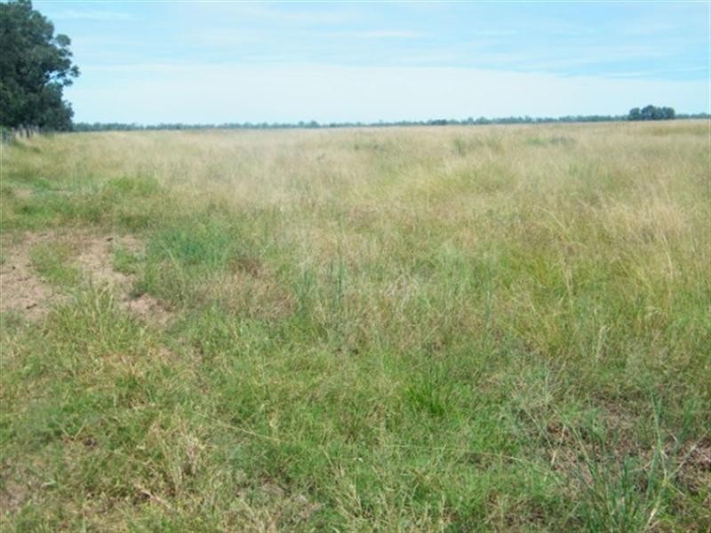 3139 Chinchilla Wondai Road, Chinchilla QLD 4413