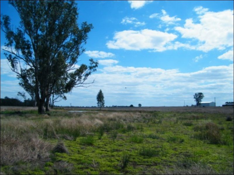 3139 Chinchilla Wondai Road, Chinchilla QLD 4413