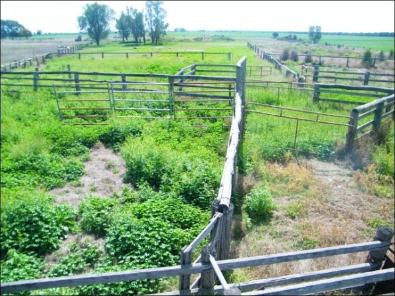 3139 Chinchilla Wondai Road, Chinchilla QLD 4413