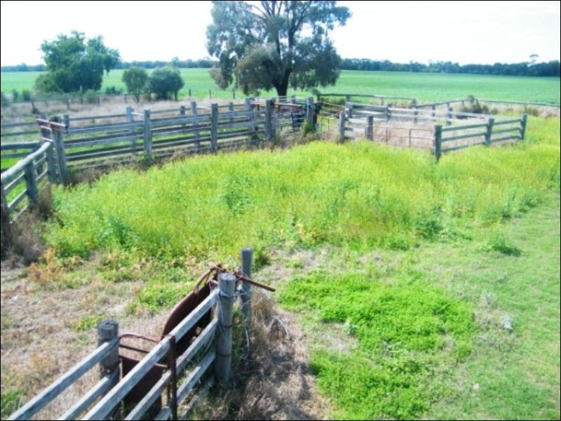 3139 Chinchilla Wondai Road, Chinchilla QLD 4413