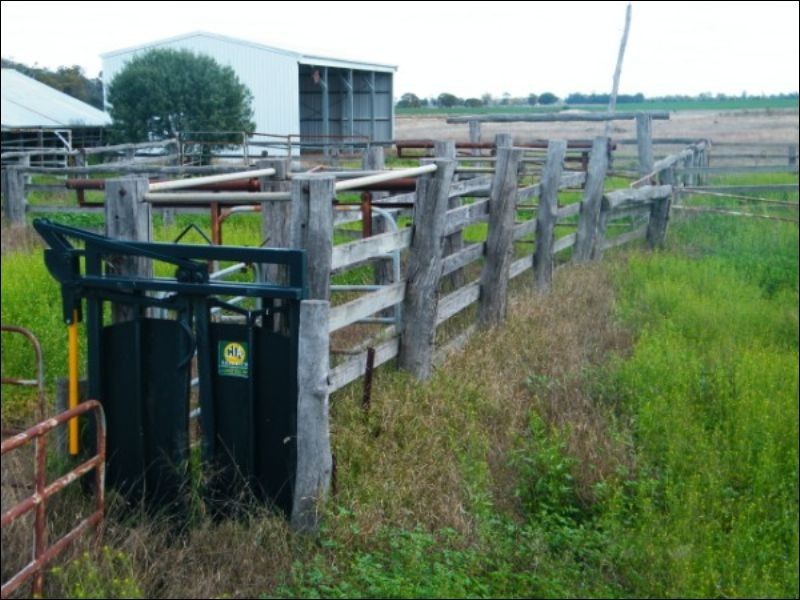 3139 Chinchilla Wondai Road, Chinchilla QLD 4413