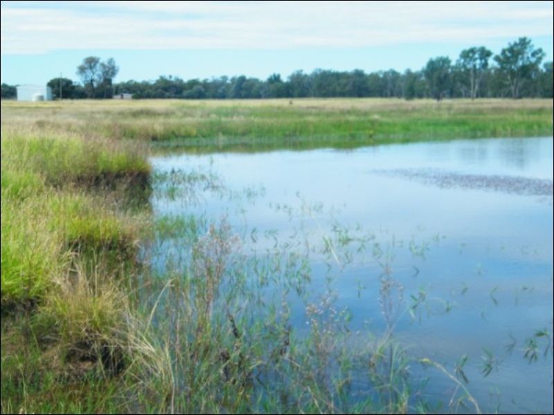 3139 Chinchilla Wondai Road, Chinchilla QLD 4413