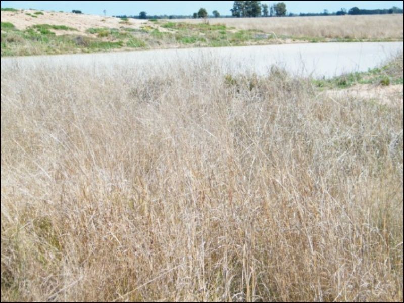 3139 Chinchilla Wondai Road, Chinchilla QLD 4413