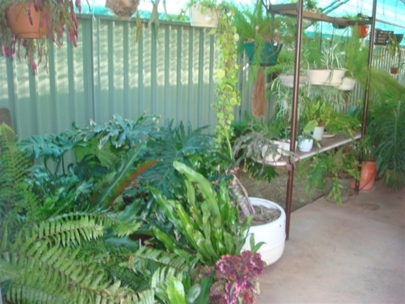 10 Fitzgerald Street, Chinchilla QLD 4413