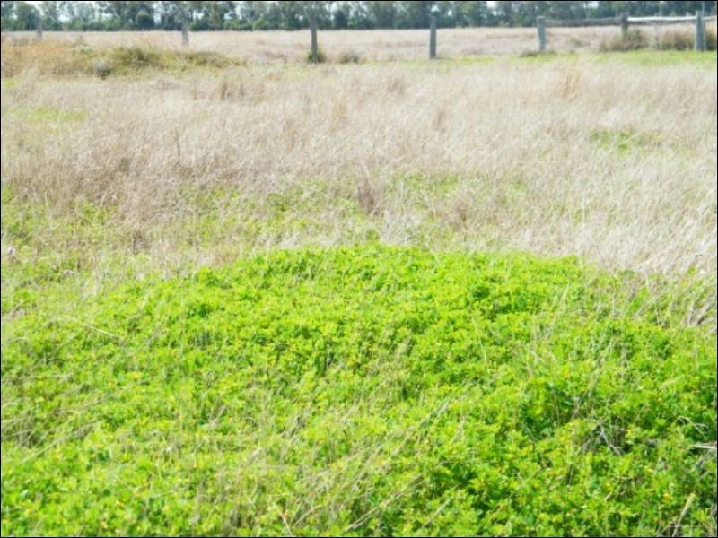 Lot 722 Lower Jinghi Road, Jandowae QLD 4410