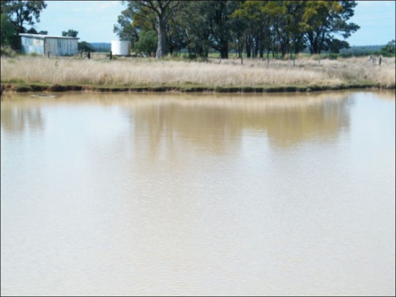 Lot 722 Lower Jinghi Road, Jandowae QLD 4410