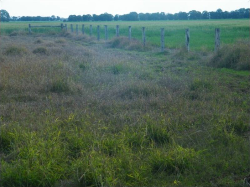 Lot 722 Lower Jinghi Road, Jandowae QLD 4410