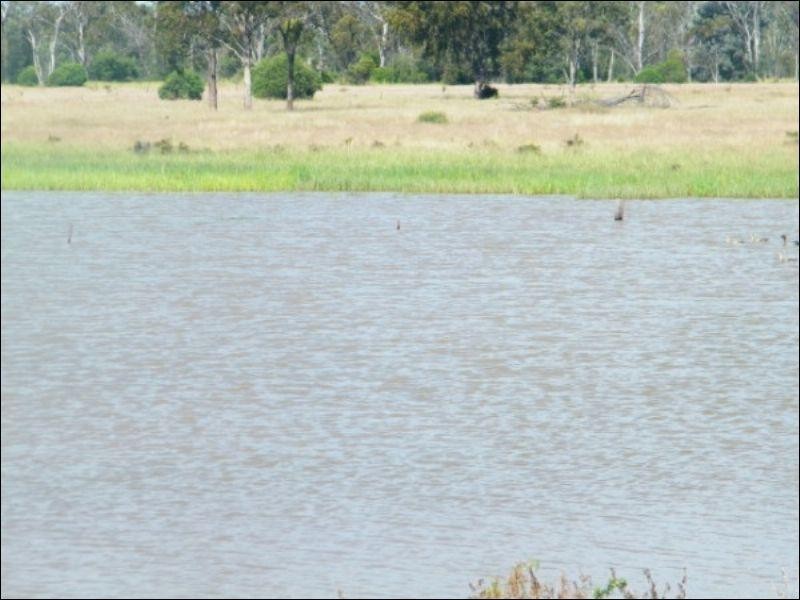 84 Langlands Road, Jandowae QLD 4410