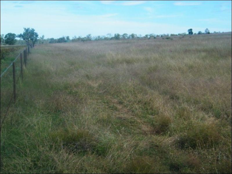 84 Langlands Road, Jandowae QLD 4410