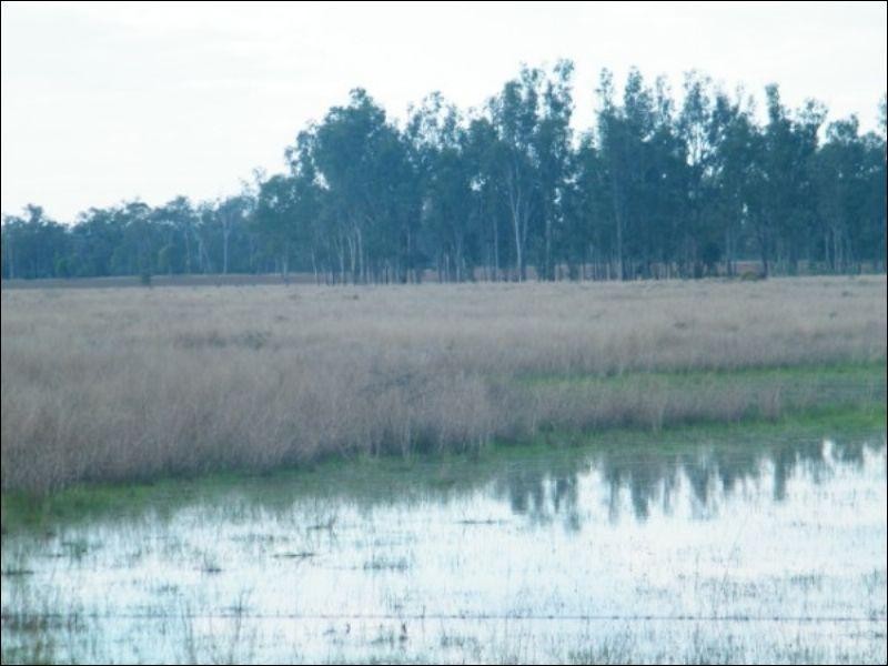 84 Langlands Road, Jandowae QLD 4410