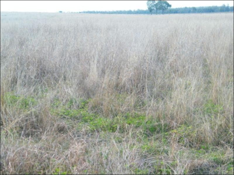 84 Langlands Road, Jandowae QLD 4410