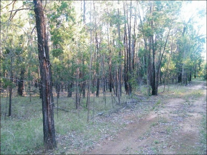 Lot 24 Lucky Road, Tara QLD 4421