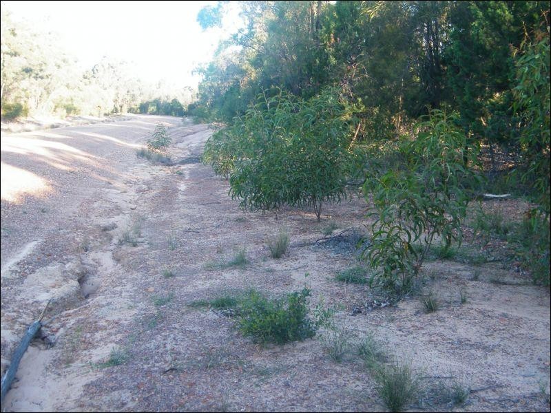Lot 24 Lucky Road, Tara QLD 4421