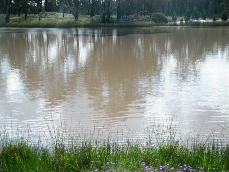 2572 Weranga North Road, Kogan QLD 4406