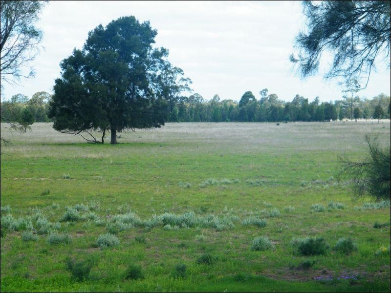 2572 Weranga North Road, Kogan QLD 4406