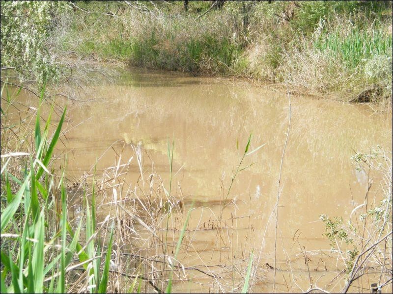 2572 Weranga North Road, Kogan QLD 4406