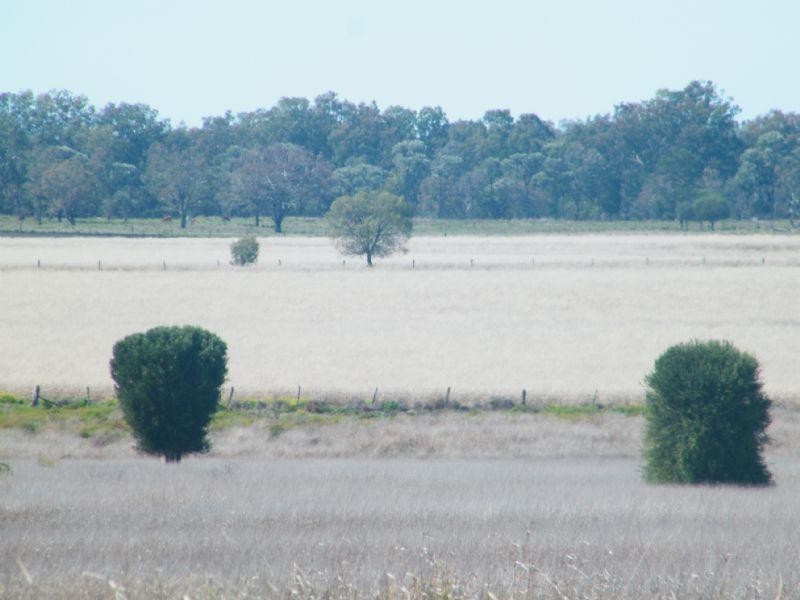 Lot 15 Chinchilla-Tara Road, Chinchilla QLD 4413