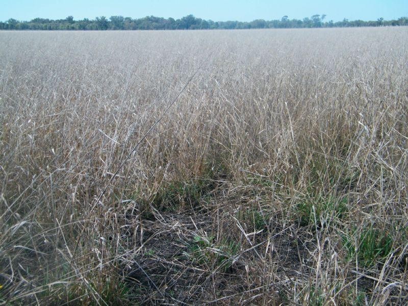 Lot 15 Chinchilla-Tara Road, Chinchilla QLD 4413