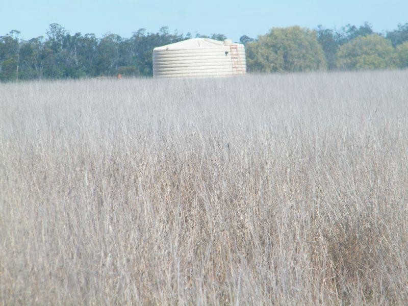 Lot 15 Chinchilla-Tara Road, Chinchilla QLD 4413