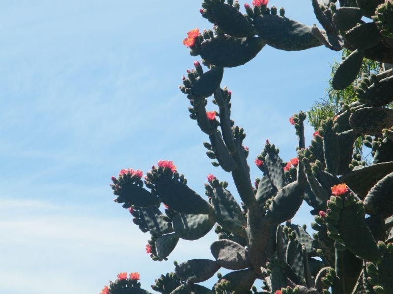 CNR Washington and Lloyd, Chinchilla QLD 4413