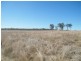 3009 Hawkwood Road, Mundubbera QLD 4626