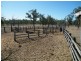 3009 Hawkwood Road, Mundubbera QLD 4626