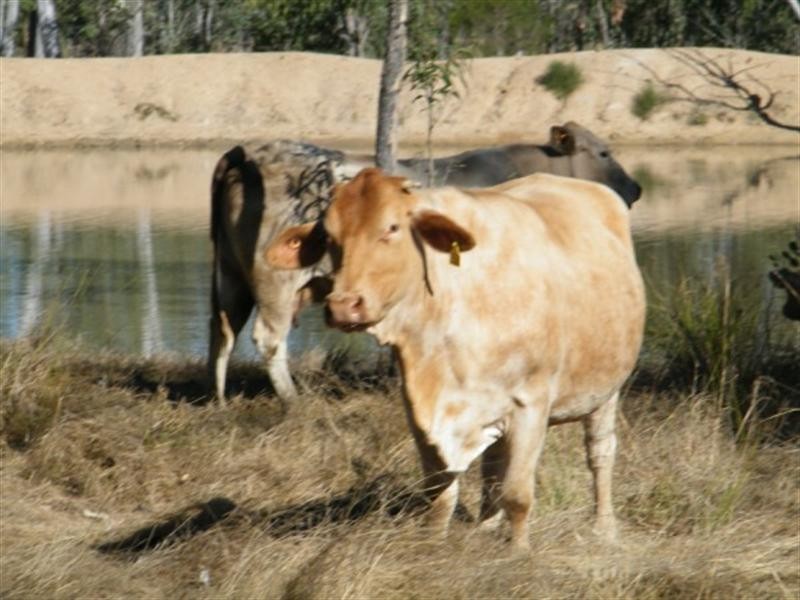3009 Hawkwood Road, Mundubbera QLD 4626