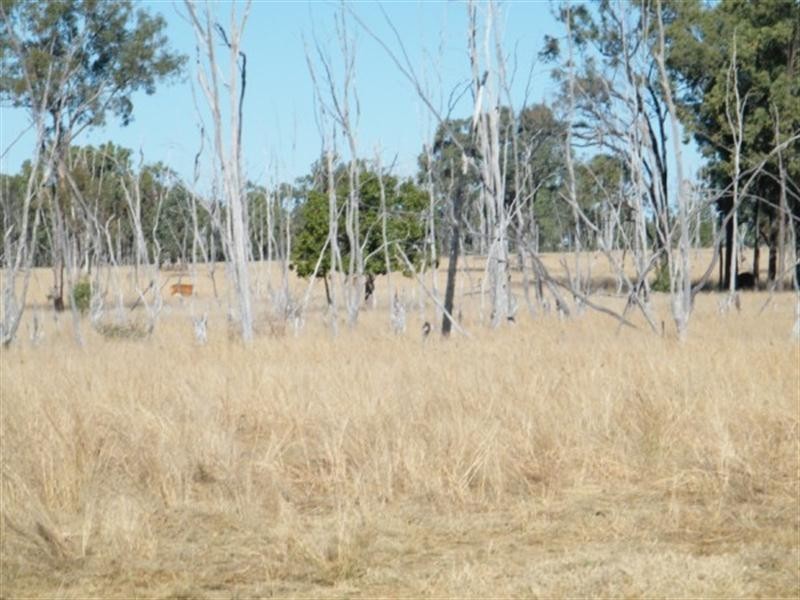 3009 Hawkwood Road, Mundubbera QLD 4626