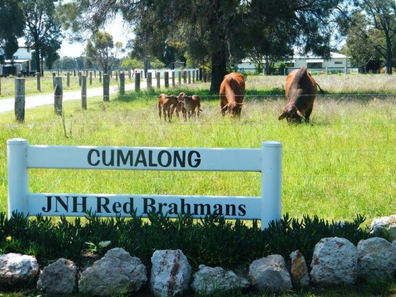 CUMALONG 765 Braithwaites Road, Burncluith QLD 4413