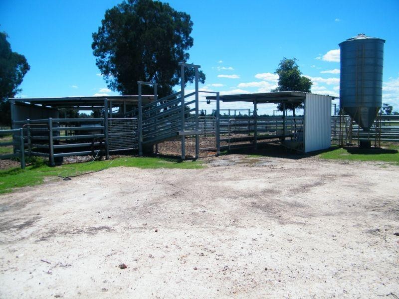 CUMALONG 765 Braithwaites Road, Burncluith QLD 4413