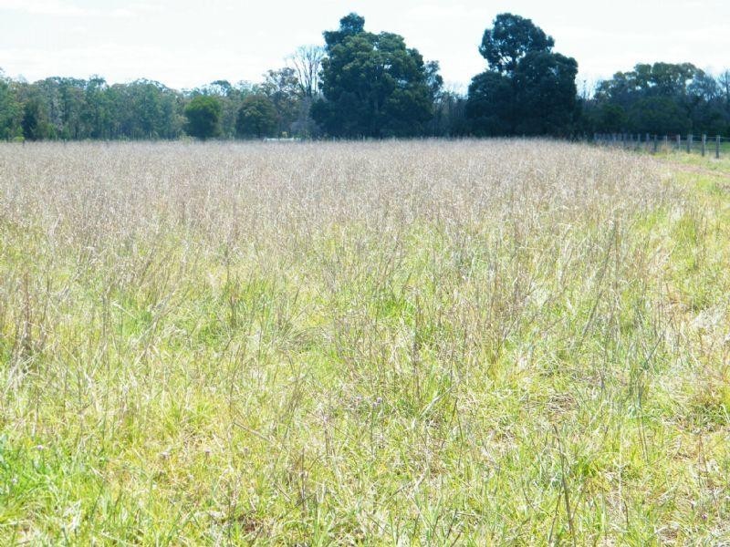 CUMALONG 765 Braithwaites Road, Burncluith QLD 4413