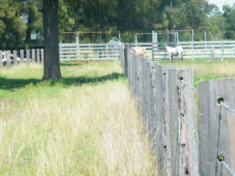 CUMALONG 765 Braithwaites Road, Burncluith QLD 4413