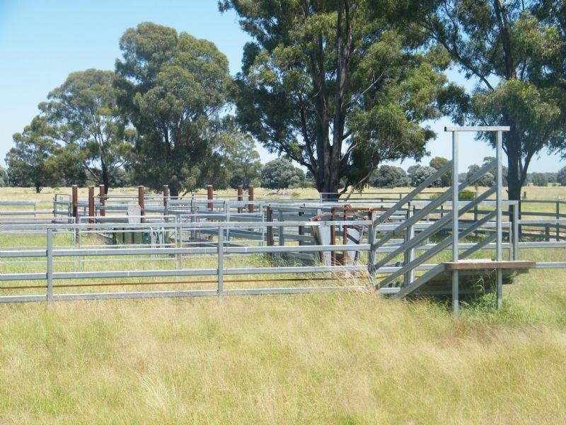 Lot 22-23 Tara-Chinchilla Road, Tara QLD 4421
