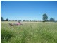 Lot 22-23 Tara-Chinchilla Road, Tara QLD 4421