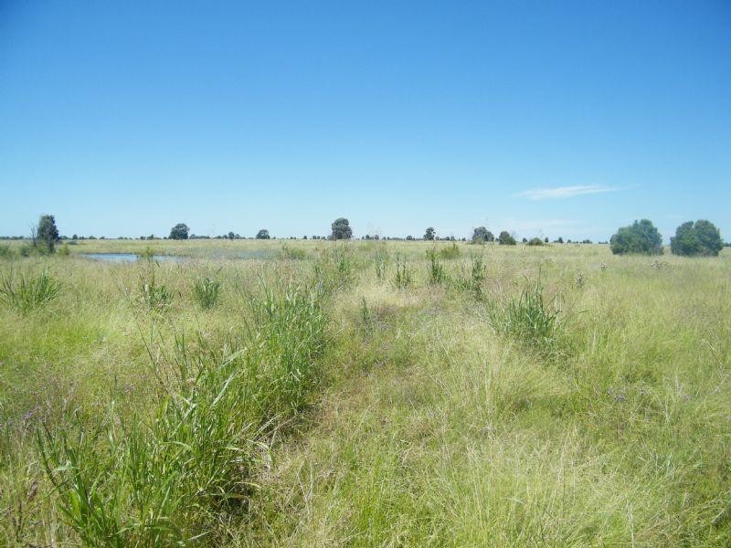 Lot 22-23 Tara-Chinchilla Road, Tara QLD 4421