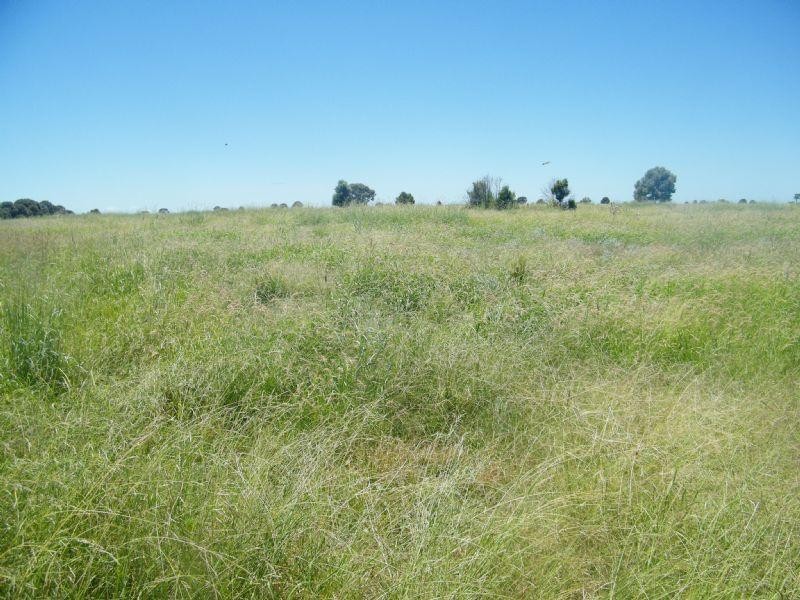Lot 22-23 Tara-Chinchilla Road, Tara QLD 4421