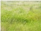 Lot 22-23 Tara-Chinchilla Road, Tara QLD 4421