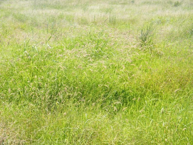 Lot 22-23 Tara-Chinchilla Road, Tara QLD 4421
