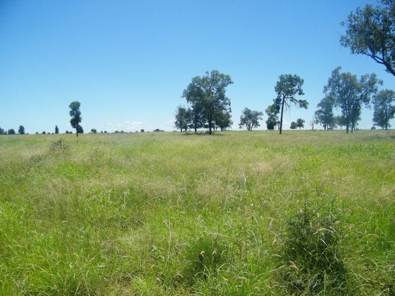 Lot 22-23 Tara-Chinchilla Road, Tara QLD 4421