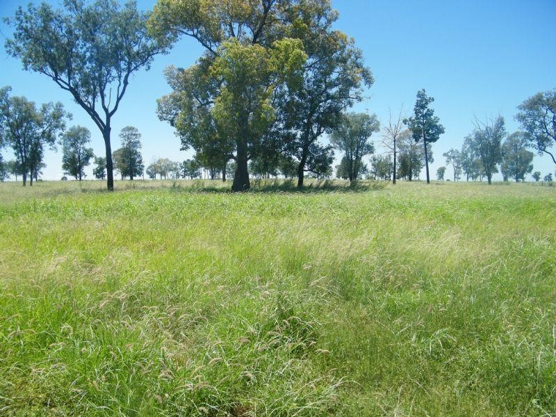Lot 22-23 Tara-Chinchilla Road, Tara QLD 4421
