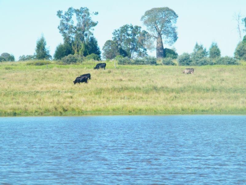 Lot 302 Leichhardt Highway, Miles QLD 4415