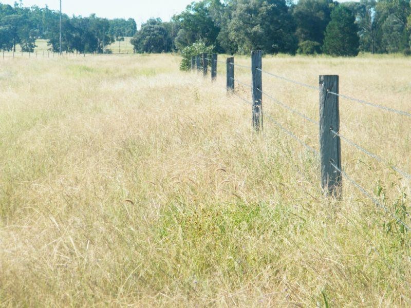 Lot 302 Leichhardt Highway, Miles QLD 4415