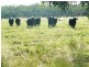Lot 302 Leichhardt Highway, Miles QLD 4415