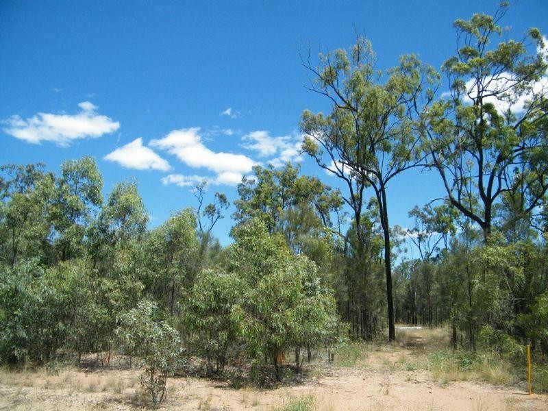 169 Rocky Crescent, Tara QLD 4421