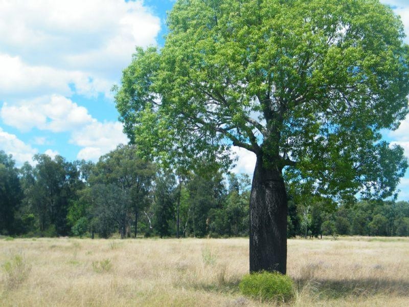 198 Kerwicks Road, Columboola QLD 4415