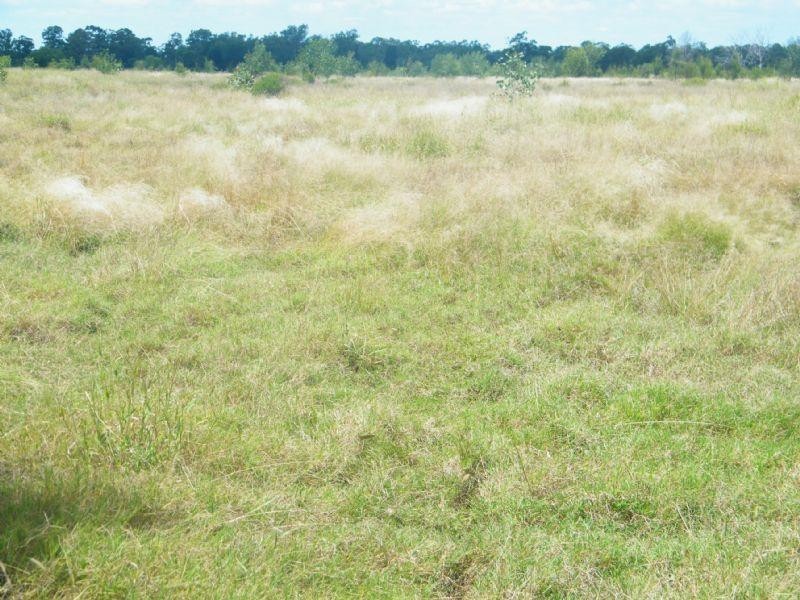 198 Kerwicks Road, Columboola QLD 4415